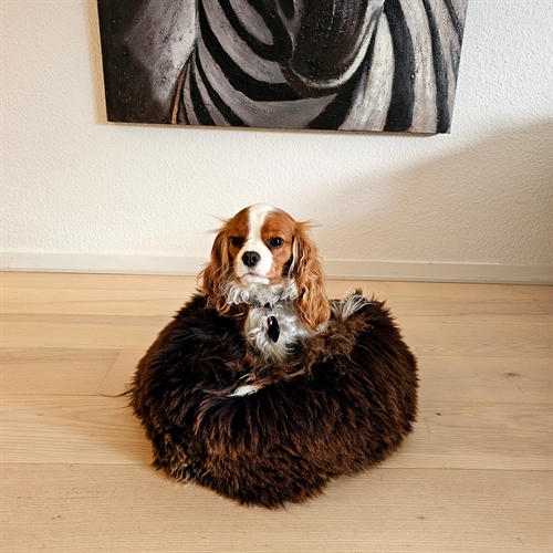 Hundekurv Ø40cm.