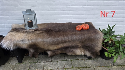 Rensdyr skind 52