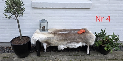 Rensdyr skind 53