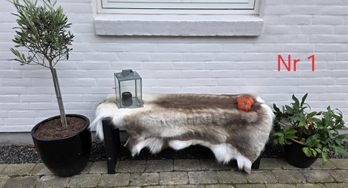 Rensdyr skind 54