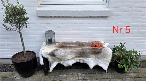 Rensdyr skind 55