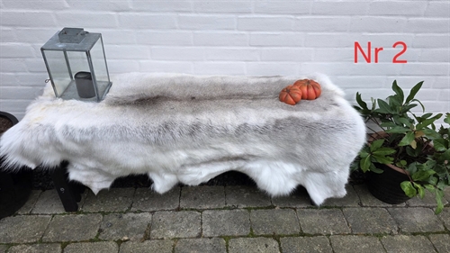 Rensdyr skind 57