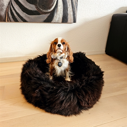Hundekurv Ø60cm.