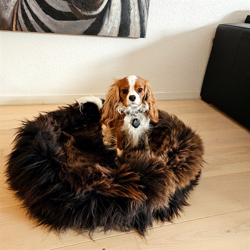Hundekurv Ø70cm.
