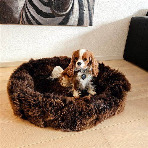 Hundekurv Ø80cm.