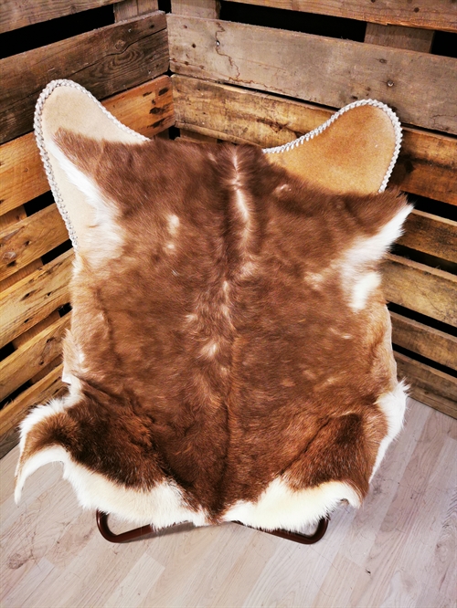 Gedeskind 2.sort 93453