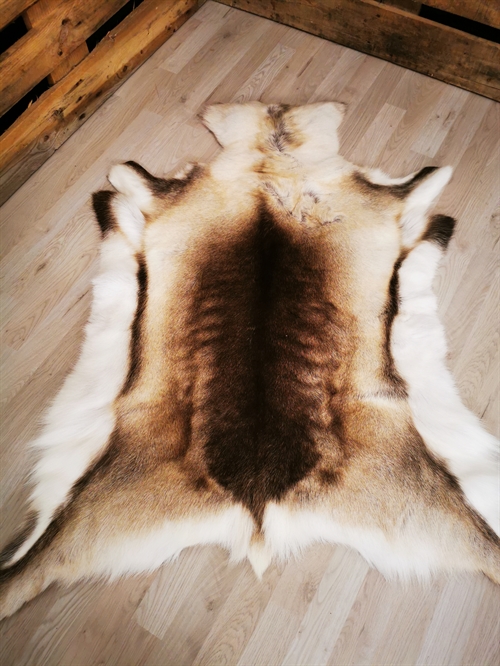Rensdyrskind 