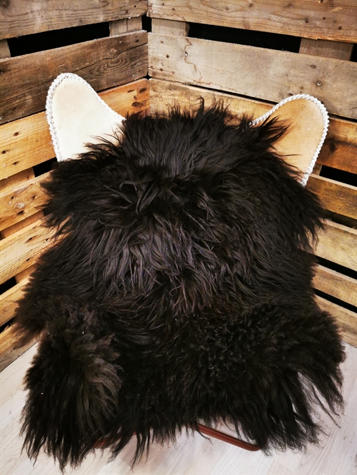 Lammeskind Islandsk Sort