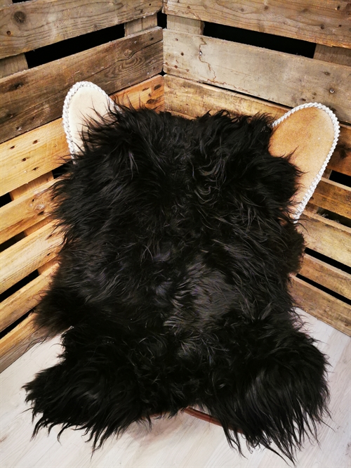 Lammeskind Islandsk Sort