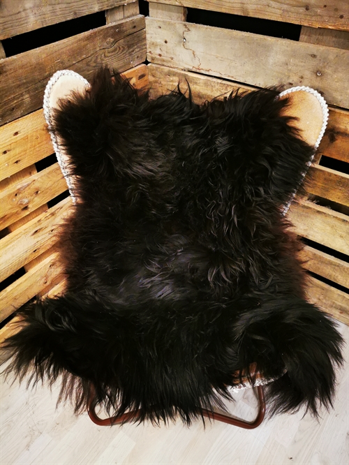 Lammeskind Islandsk Sort