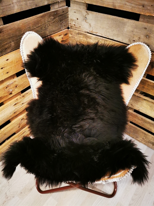 Lammeskind Islandsk Sort