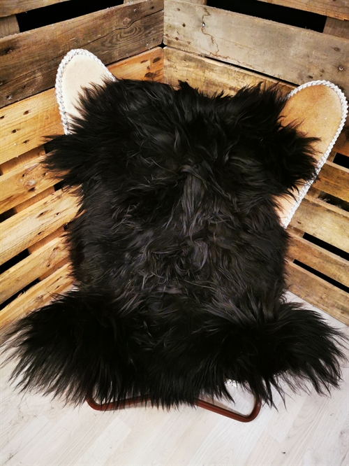 Lammeskind Islandsk Sort