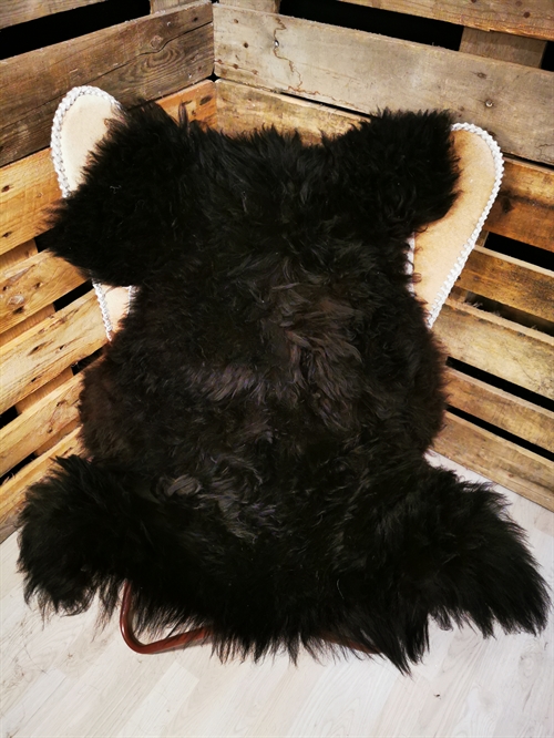 Lammeskind Islandsk Sort