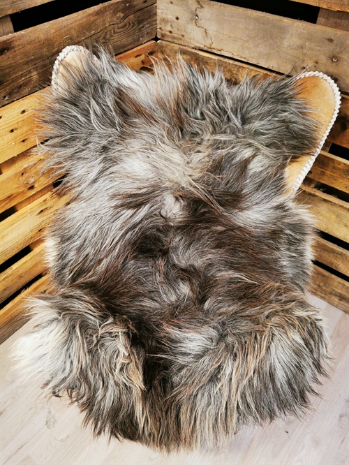 Lammeskind Islandsk Grå