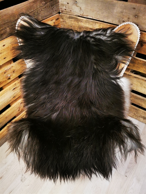 Lammeskind Islandsk Grå