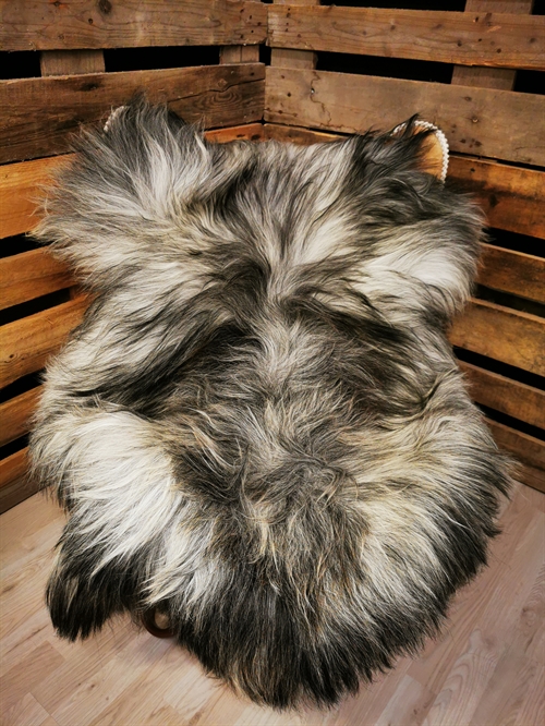 Lammeskind Islandsk grå 