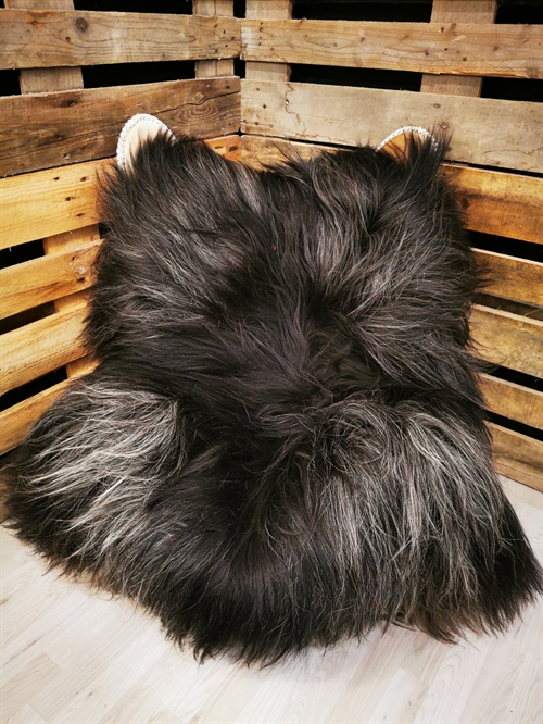 Lammeskind Islandsk grå 