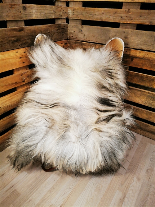 Lammeskind Islandsk grå 