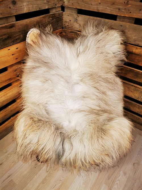 Lammeskind Islandsk grå 