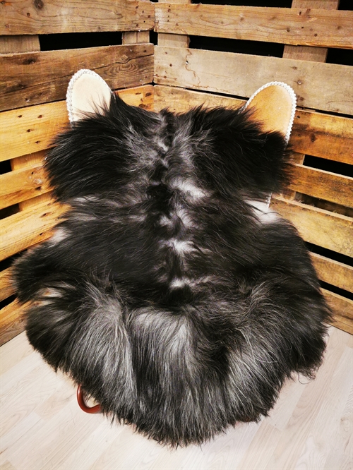 Lammeskind Islandsk grå 