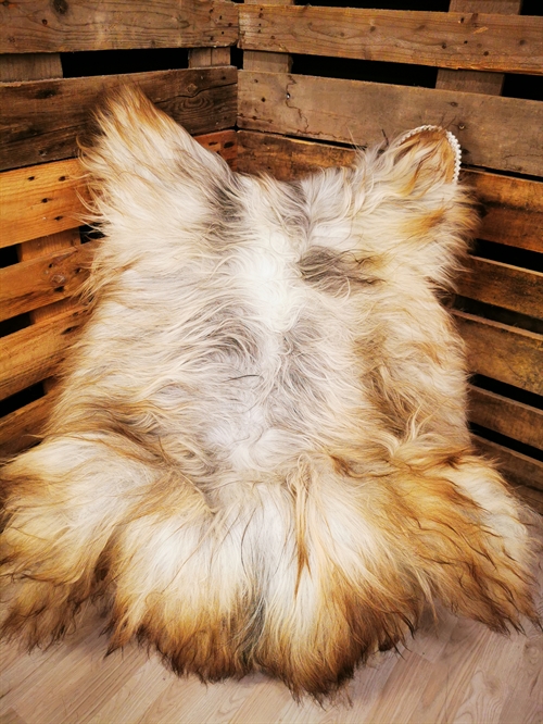 Lammeskind Islandsk grå 