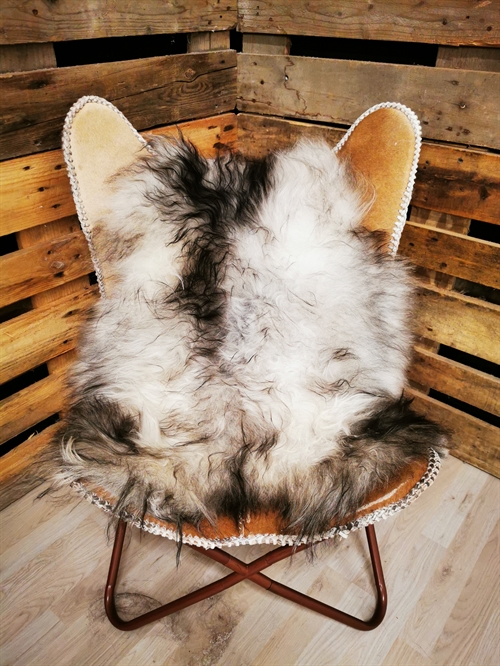 Lammeskind Islandsk Grå