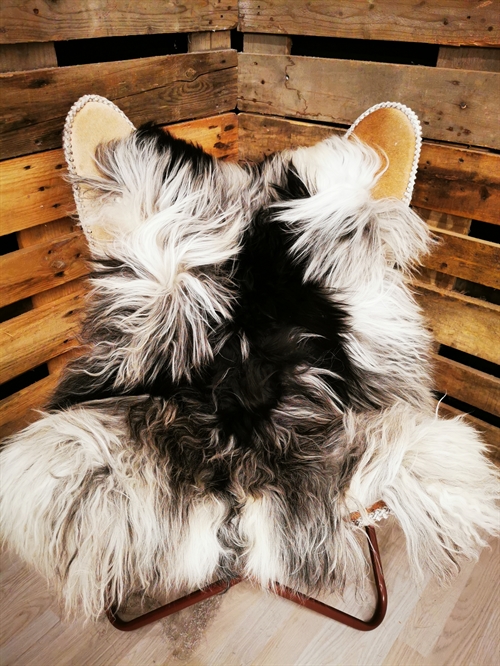 Lammeskind Islandsk Grå