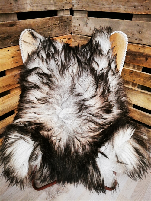 Lammeskind Islandsk Grå