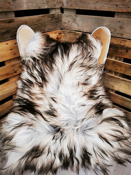 Lammeskind Islandsk Grå