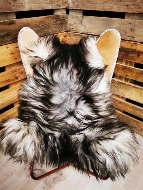 Lammeskind Islandsk Grå