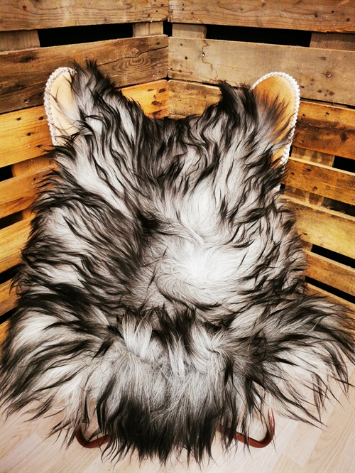 Lammeskind Islandsk Grå