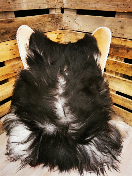 Lammeskind Islandsk Grå