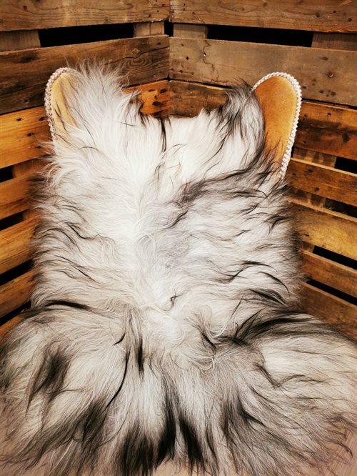 Lammeskind Islandsk Grå