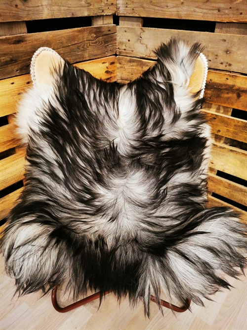 Lammeskind Islandsk Grå