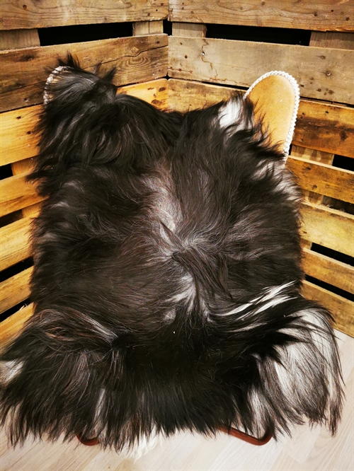 Lammeskind Islandsk Grå