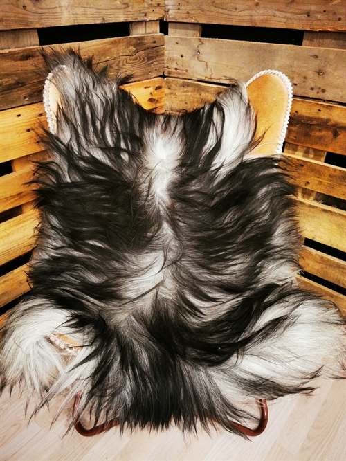 Lammeskind Islandsk Grå