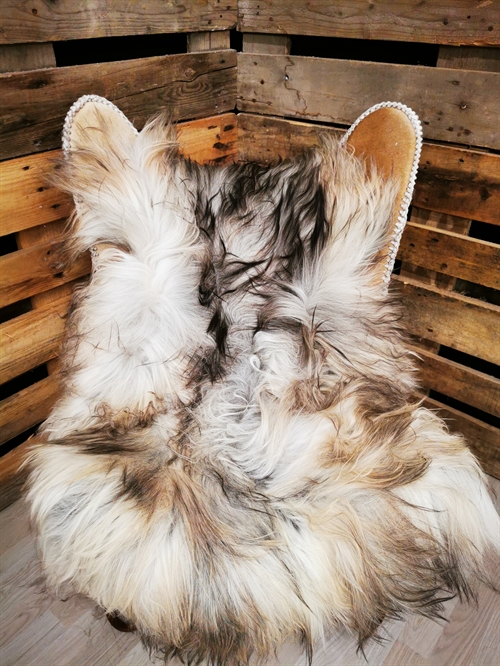 Lammeskind Islandsk Grå