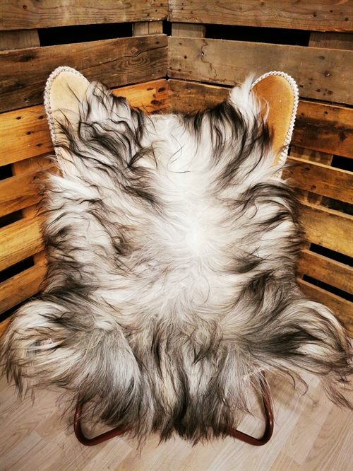 Lammeskind Islandsk Grå