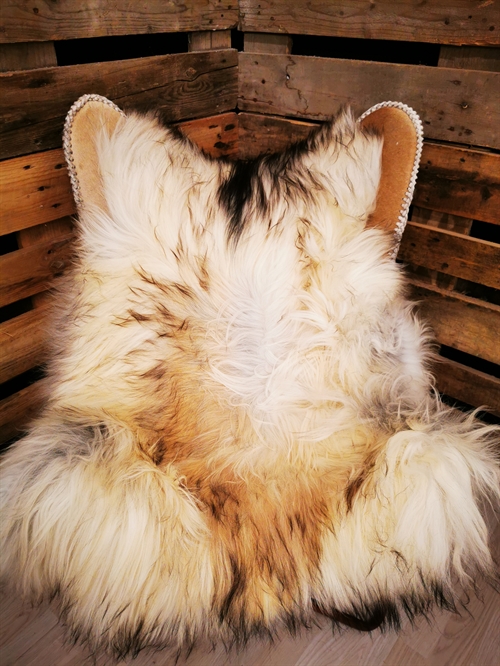 Lammeskind Islandsk Grå