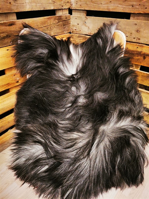 Lammeskind Islandsk Grå