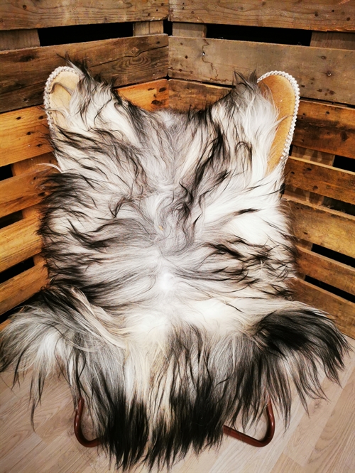 Lammeskind Islandsk Grå