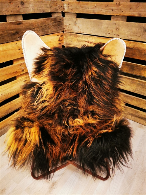 Lammeskind Islandsk Flame