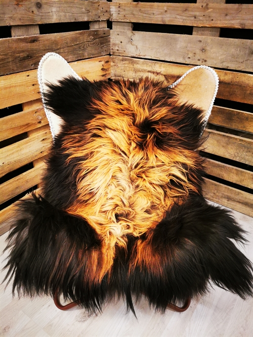 Lammeskind Islandsk Flame