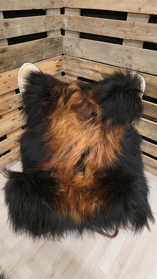 Lammeskind islandsk flame