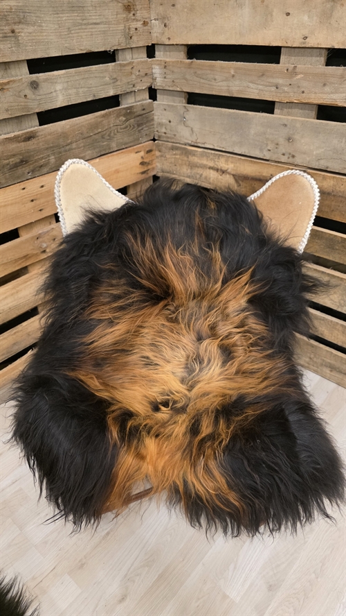 Lammeskind islandsk flame