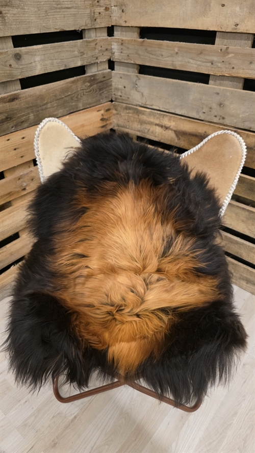 Lammeskind islandsk flame