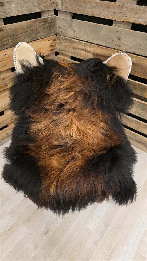 Lammeskind islandsk flame