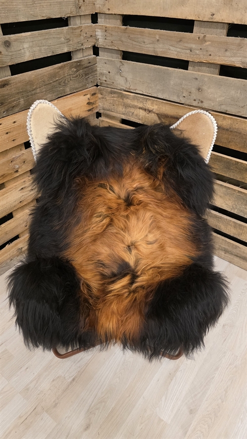 Lammeskind islandsk flame