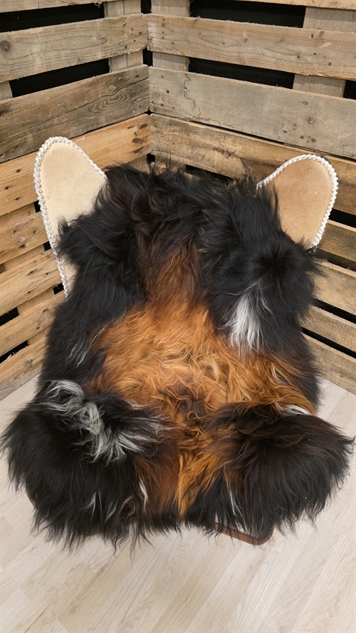 Lammeskind islandsk flame