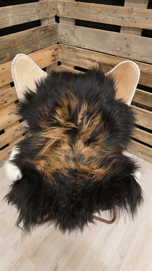 Lammeskind islandsk flame